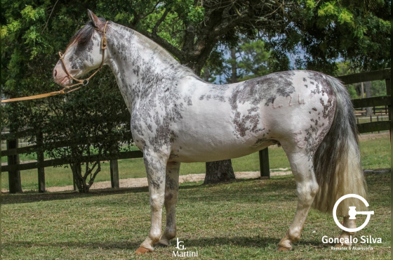 GUAMPA NUTRIERO - COTA DE 5%