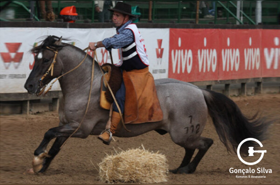 FERIADO DE SANTA EDWIGES