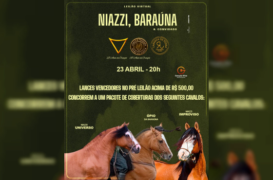 PROMOÇÃO PRÉ LEILÃO 
