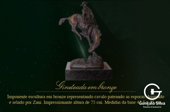 GINETEADA EM BRONZE