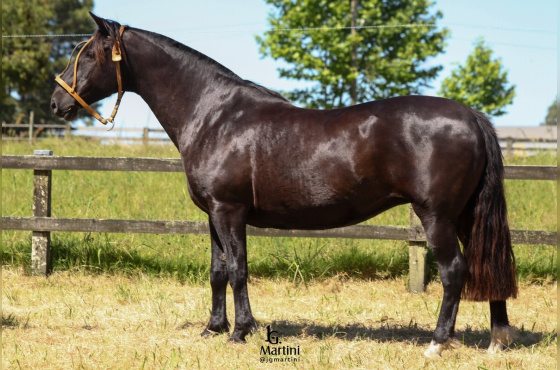 LAS CALLANAS LIJERAZA