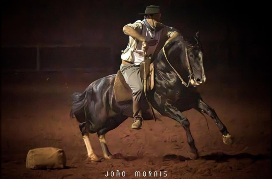 ENTREVERO DELLA TERSA 