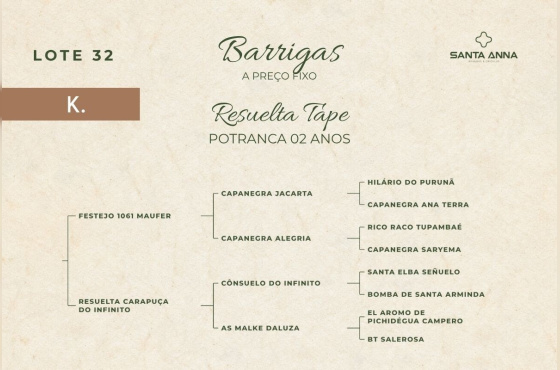 RESUELTA TAPE