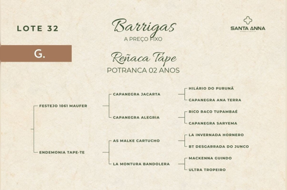 REÑACA TAPE