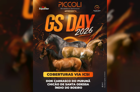 CHICÃO DE SANTA ODESSA, DOM CARRASCO DO PURUNÃ e ÍNDIO DO BOEIRO - Coberturas Via ICSI