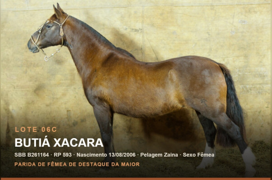 BUTÁ XACARA - (Venda vertical)