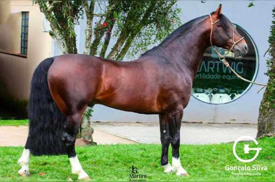 JALISCO DA GAP SÃO PEDRO