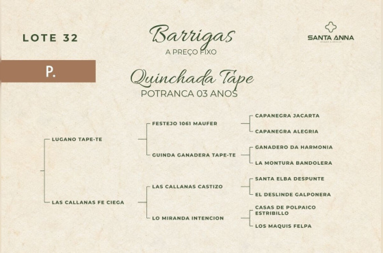 QUINCHADA TAPE