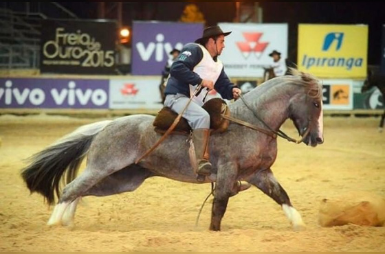 QUINCHERO DE SANTA ANGELICA