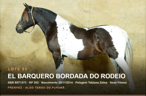 EL BARQUERO BORDADA DO RODEIO 