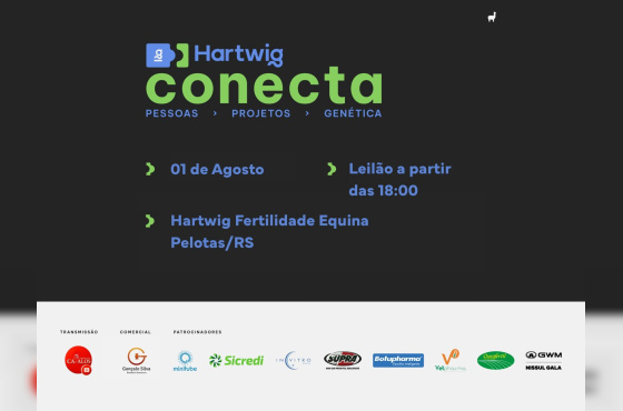 MAPOGO DA ALIANÇA