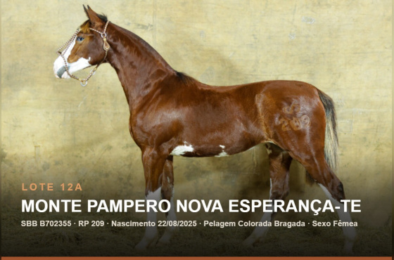 MONTE PAMPERO NOVA ESPERANÇA-TE - (Venda vertical)