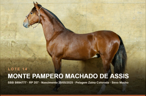 MONTE PAMPERO MACHADO DE ASSIS