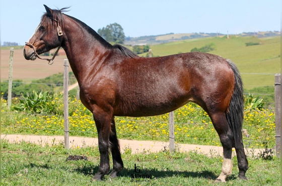 ESCALA DA LAGOA DO SOL