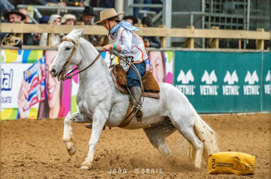 LA MONTURA ESTUPENDA 