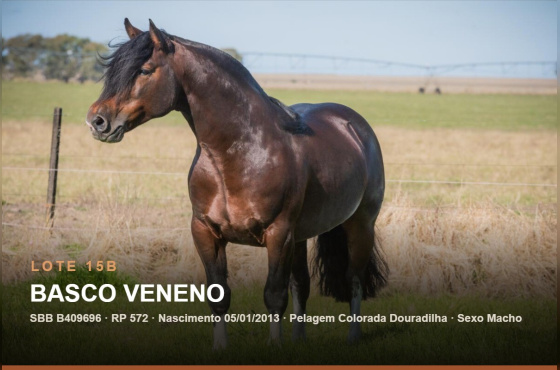 BASCO VENENO - (Venda vertical direito de uso)