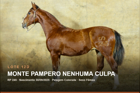 MONTE PAMPERO NENHUMA CULPA - (Venda vertical)