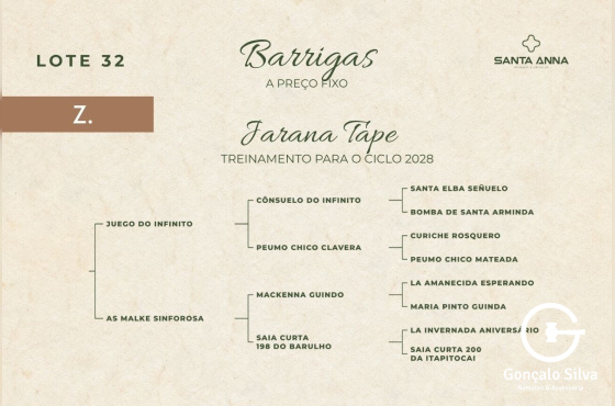 JARANA TAPE