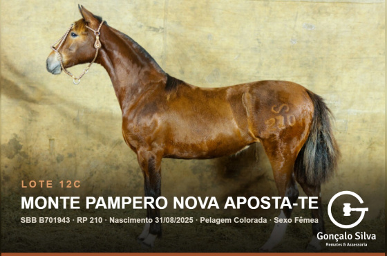 MONTE PAMPERO NOVA APOSTA-TE - (Venda de 50% vertical)