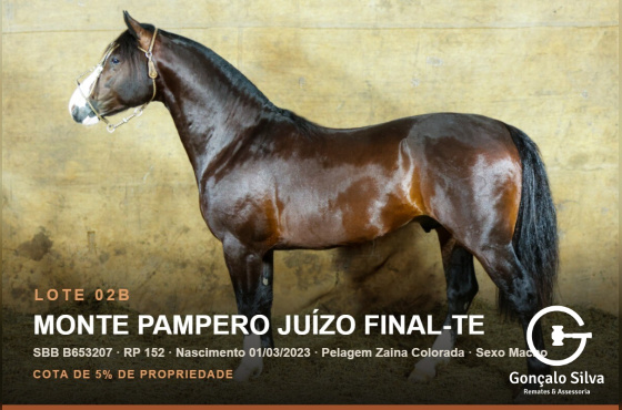 MONTE PAMPERO JUÍZO FINAL-TE (Venda vertical cota de 5%)
