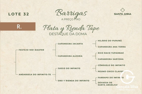 PALTA Y RIENDA TAPE