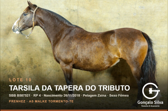 TARSILA DA TAPERA DO TRIBUTO