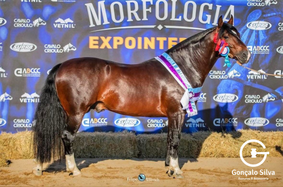 01 COBERTURA JALISCO DA GAP SAO PEDRO 