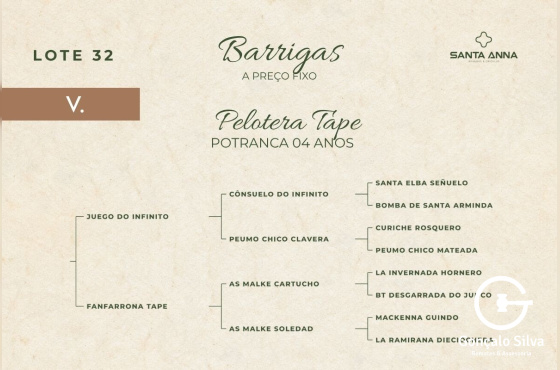PELOTERA TAPE