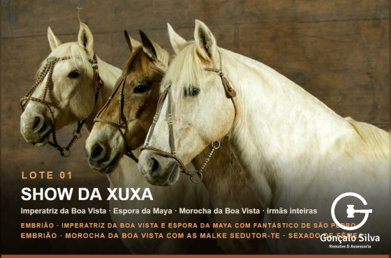 SHOW DA XUXA - Venda vertical (Prenhez)