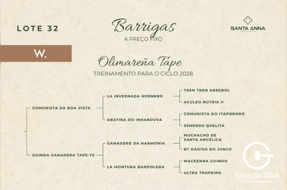 OLIMAREÑA TAPE