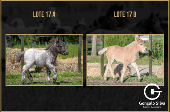 BABY VALENCIA - BABY TIROLESA