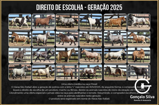 DIREITO DE ESCOLHA - GERAÇÃO 2025