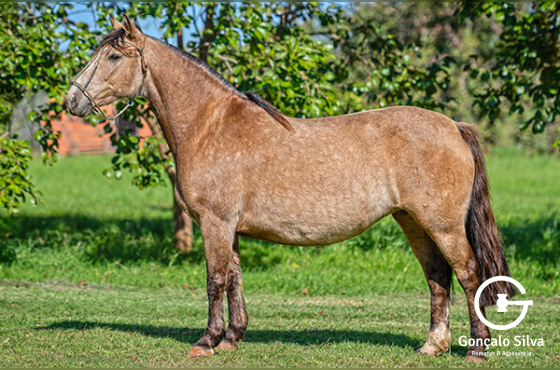 LA CASTELLANA JUANITA