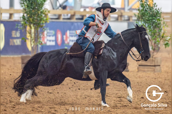 ORÁCIO DA VENDRAMIN - COTA DE 5%