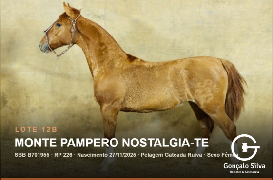 MONTE PAMPERO NOSTALGIA-TE - (Venda vertical)