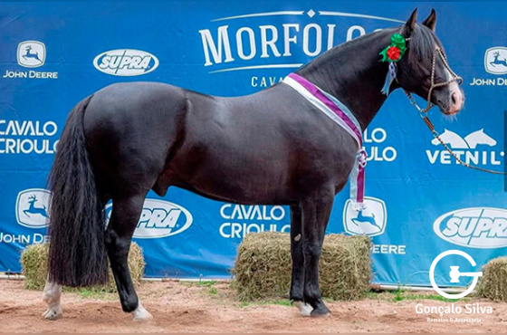 Viragro Rio Negro