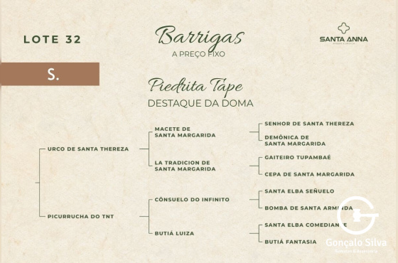 PIEDRITA TAPE