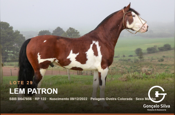 LEM PATRON