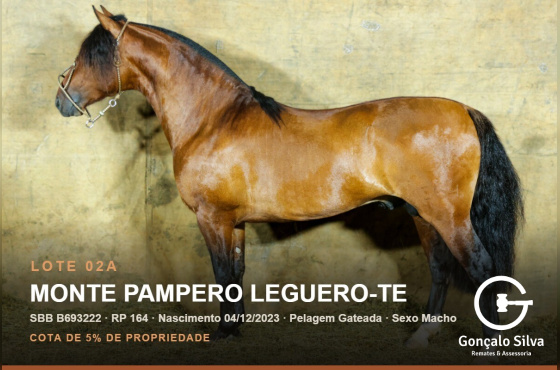 MONTE PAMPERO LEGUERO-TE (Venda vertical cota de 5%)