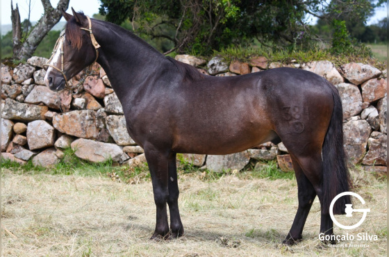 VARADERO DO VEIO D'ÁGUA
