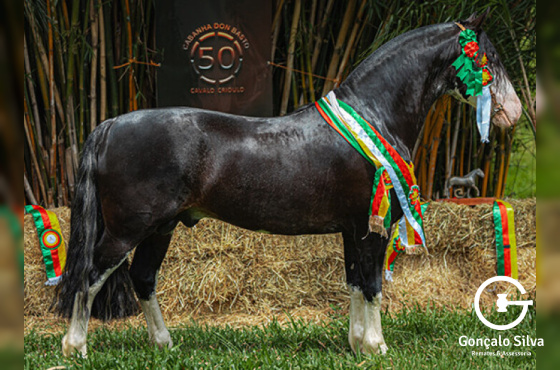 QUATRILHO  DA CABANHA  SANTA FÉ