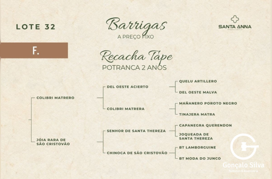 RECACHA TAPE
