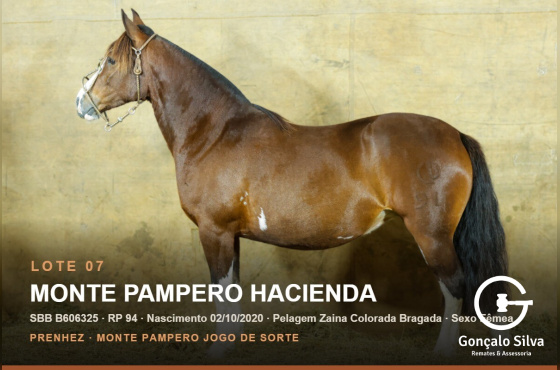 MONTE PAMPERO HACIENDA