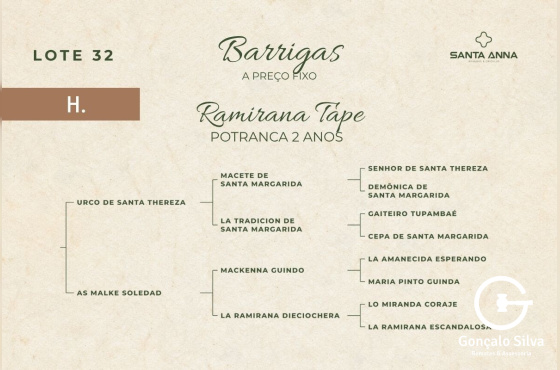 RAMIRANA TAPE