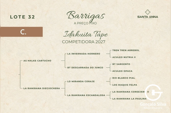 IDAHUITA TAPE
