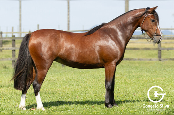 JUMA DE SANTA LARISSA