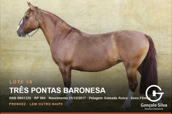 TRÊS PONTAS BARONESA