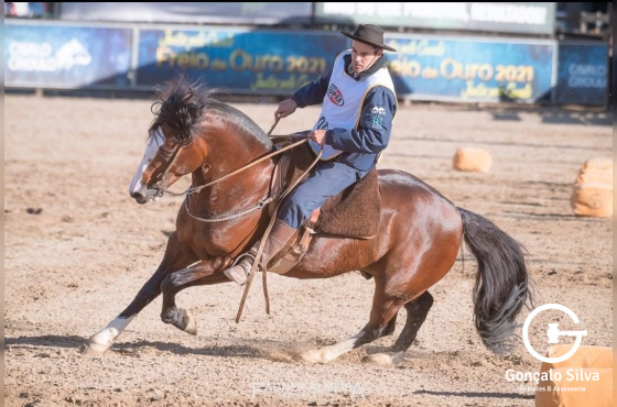 BAILONGO DE SANTA ANGELICA 