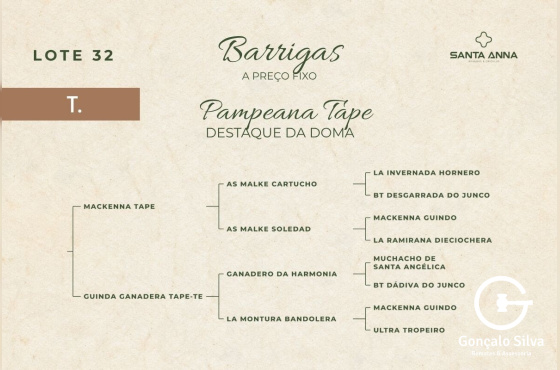 PAMPEANA TAPE