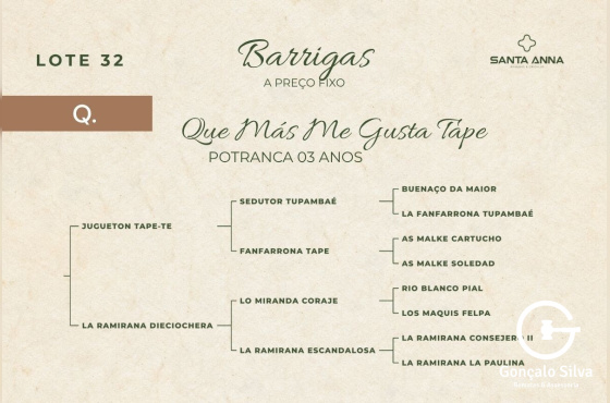 QUE MÁS ME GUSTA TAPE